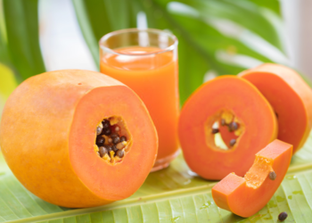 Papaya Milkshake Recipe