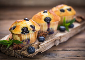 Blueberry Muffins